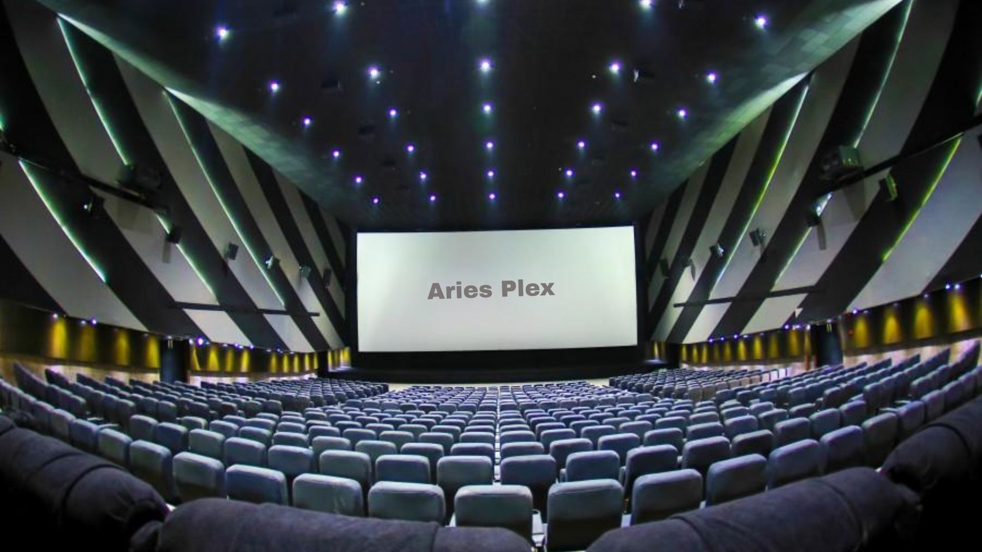 The picture of Aries Plex Audi 1