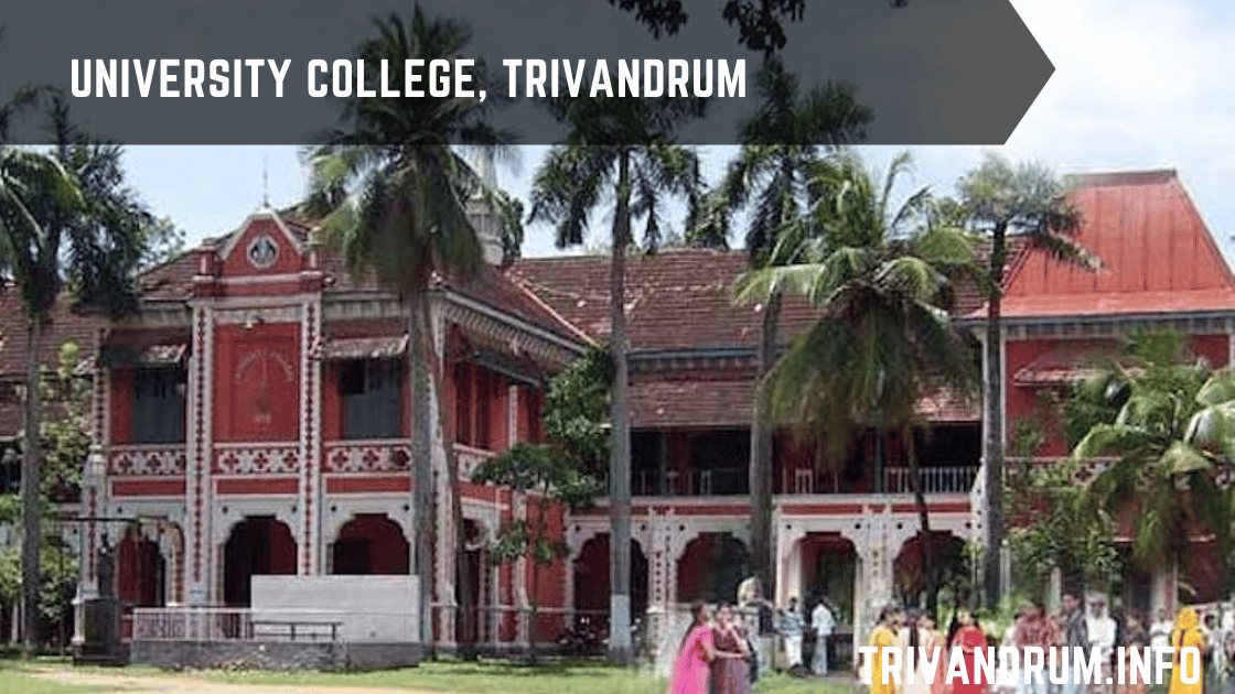University College